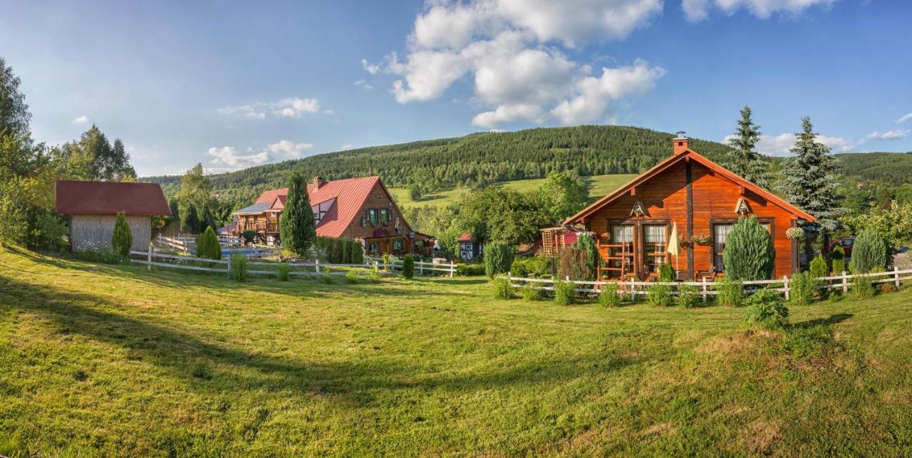 Gleboki Jar Apartamento Świeradów-Zdrój Exterior foto
