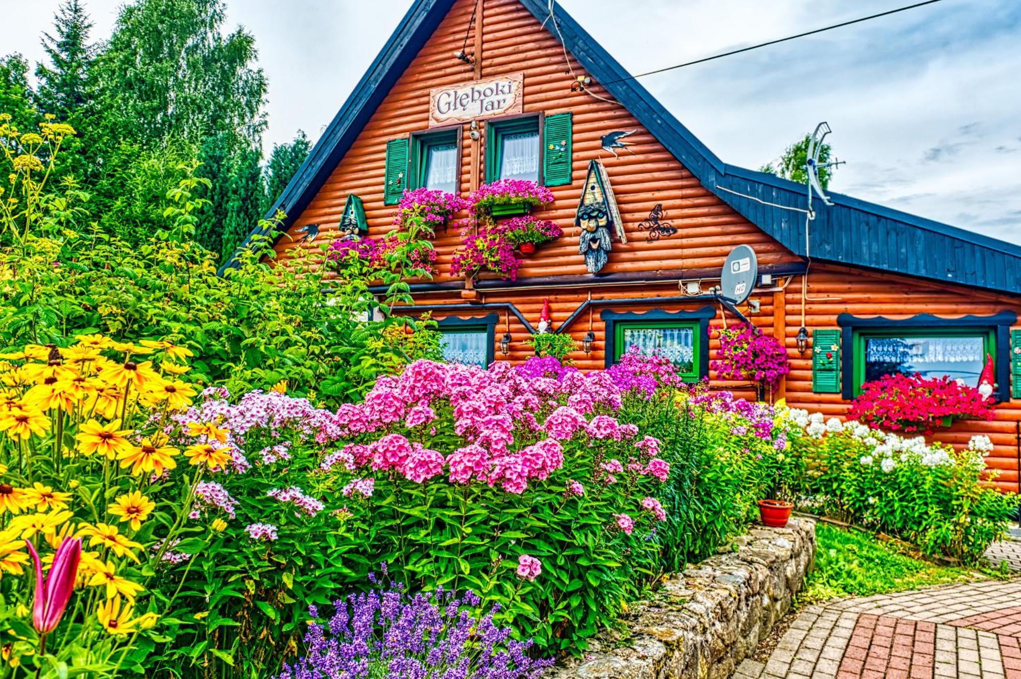 Gleboki Jar Apartamento Świeradów-Zdrój Exterior foto