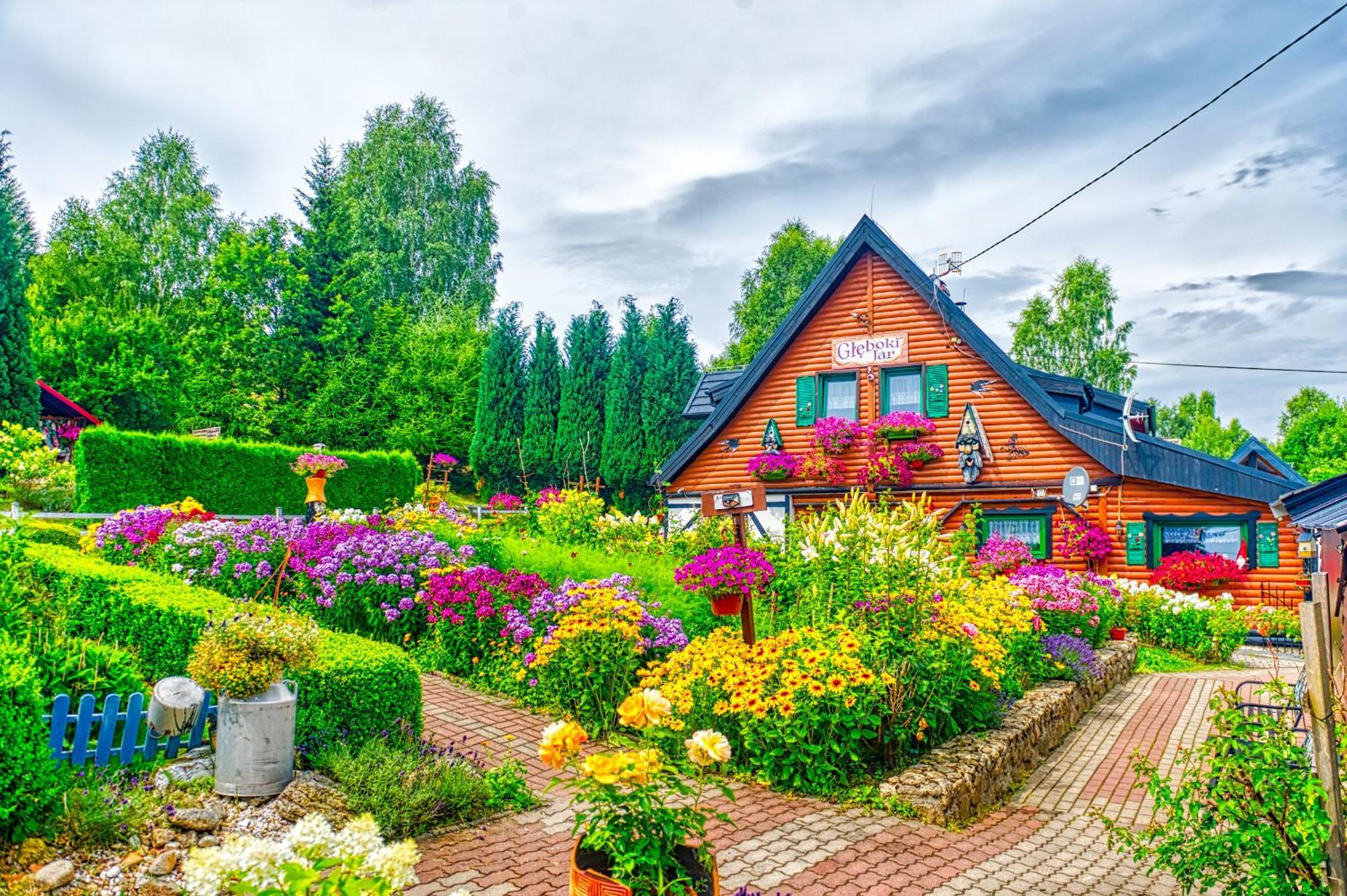Gleboki Jar Apartamento Świeradów-Zdrój Exterior foto