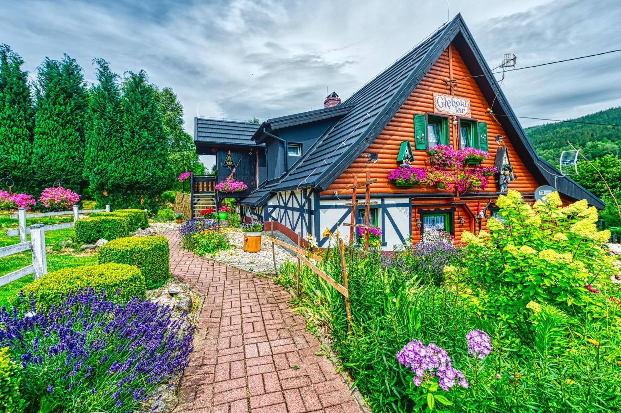 Gleboki Jar Apartamento Świeradów-Zdrój Exterior foto