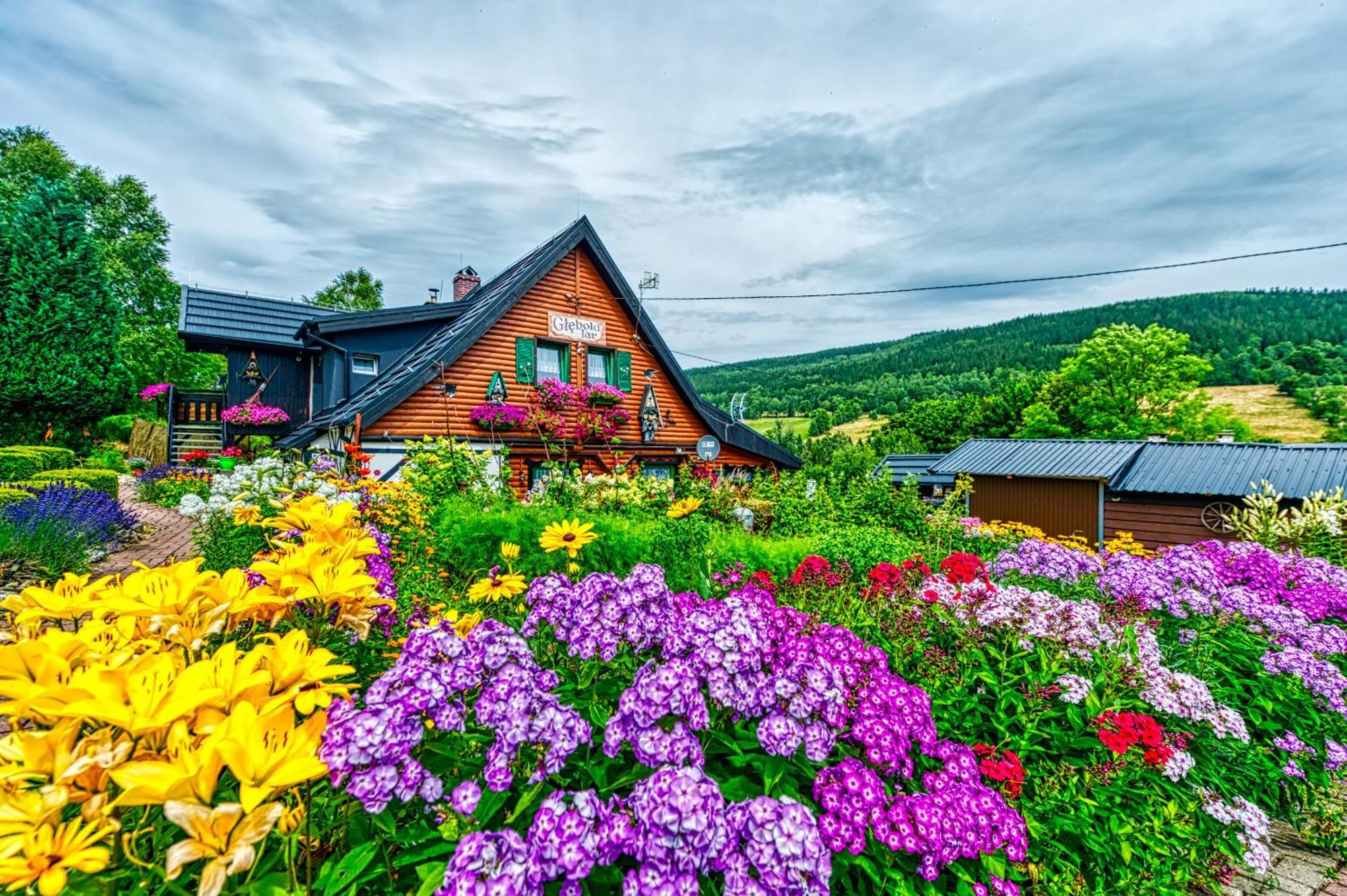 Gleboki Jar Apartamento Świeradów-Zdrój Exterior foto