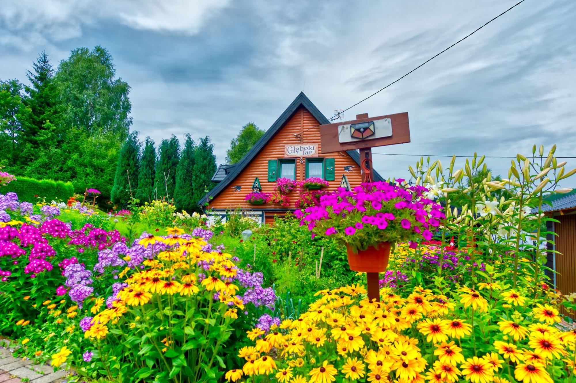 Gleboki Jar Apartamento Świeradów-Zdrój Exterior foto